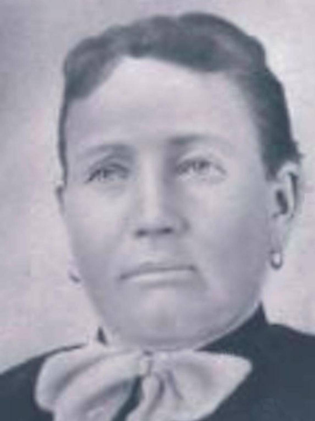Louisa Bacon (1841 - 1898) Profile